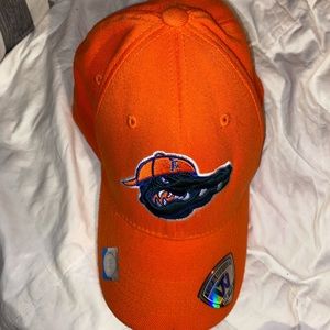 Florida Gator hat